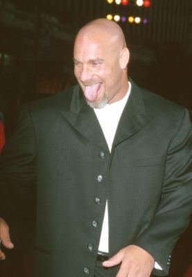 Bill Goldberg photo
