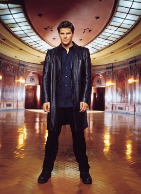 David Boreanaz photo