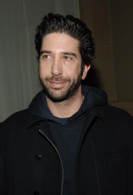 David Schwimmer photo