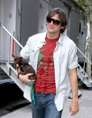 Ashton Kutcher photo