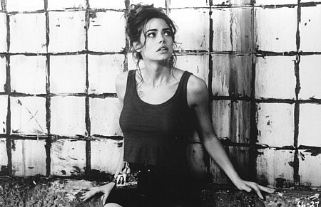 Denise Richards photo