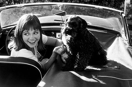 Sally Field photo