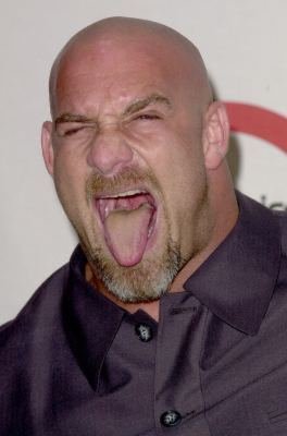 Bill Goldberg photo