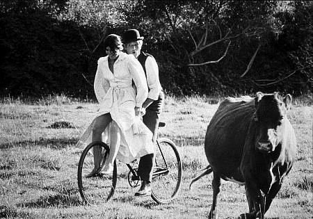 Katharine Ross photo