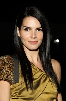 Angie Harmon photo