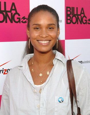Joy Bryant photo