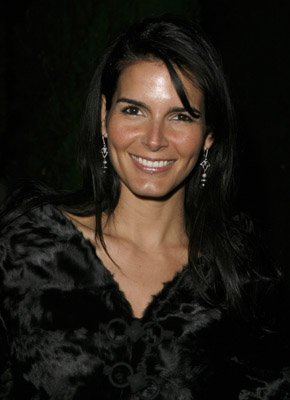 Angie Harmon photo