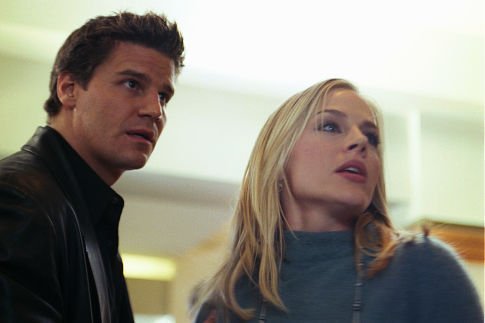David Boreanaz photo