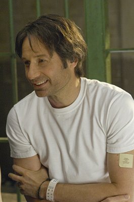 David Duchovny photo