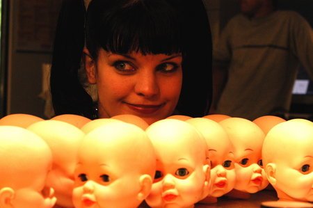 Pauley Perrette photo