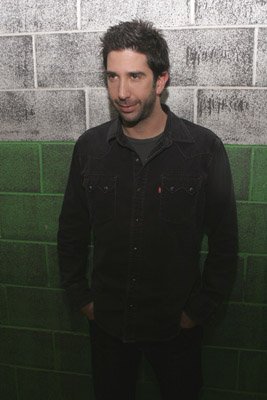 David Schwimmer photo