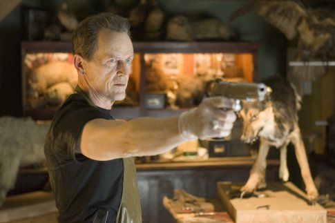 Stephen McHattie photo