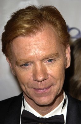David Caruso photo