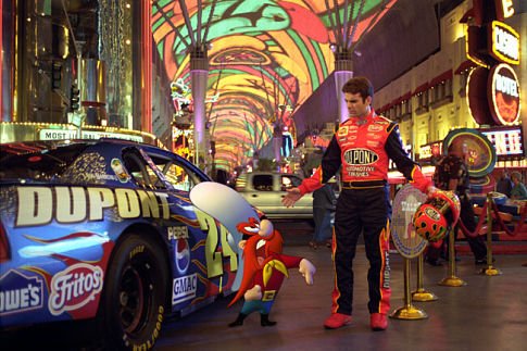 Jeff Gordon photo