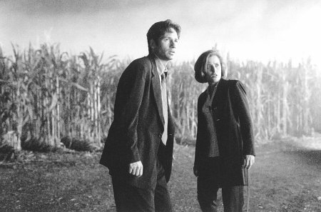 Gillian Anderson photo