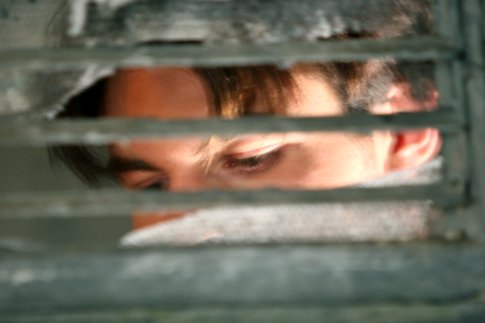 Daniel Gillies photo