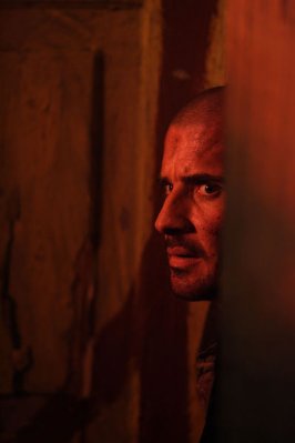 Dominic Purcell photo