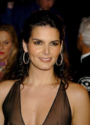 Angie Harmon photo
