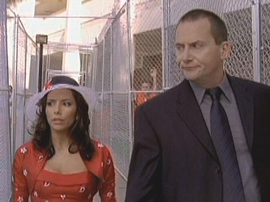 Michael Hitchcock photo