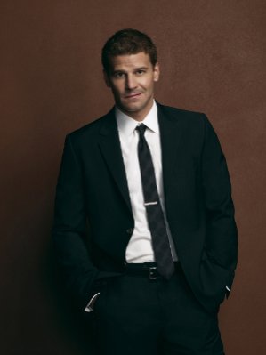 David Boreanaz photo