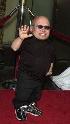 Verne Troyer photo