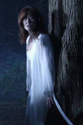 Mary McDonnell photo