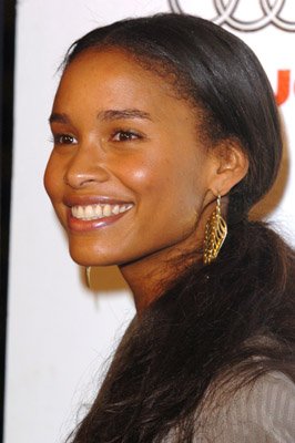Joy Bryant photo