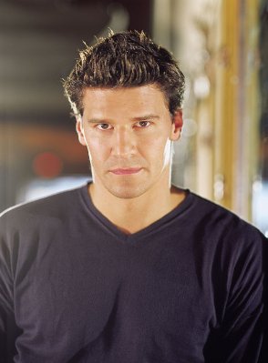 David Boreanaz photo