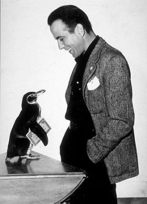 Humphrey Bogart photo