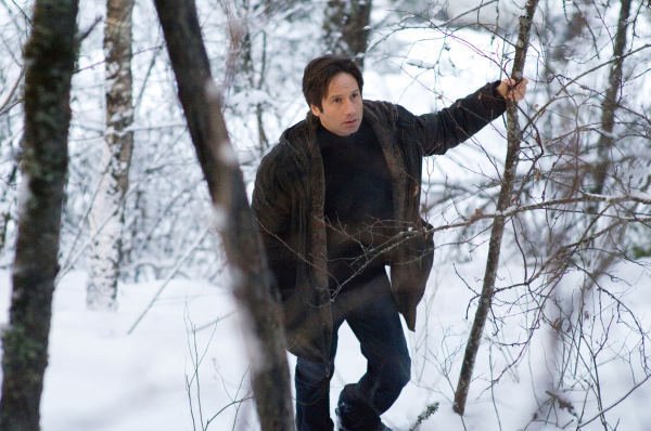 David Duchovny photo