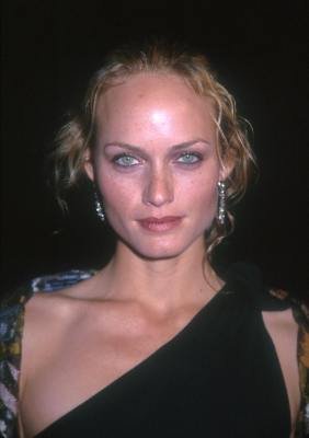 Amber Valletta photo