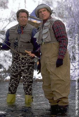 Garry Shandling photo