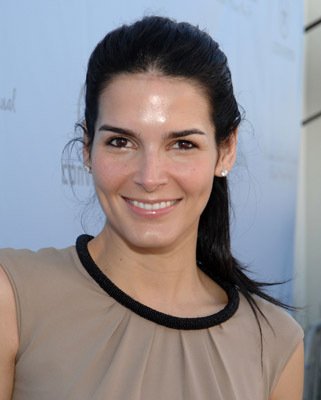 Angie Harmon photo