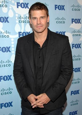 David Boreanaz photo