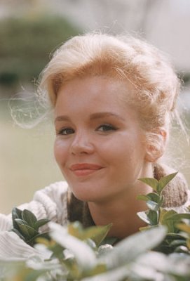 Tuesday Weld photo