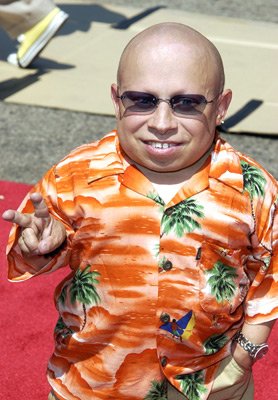 Verne Troyer photo