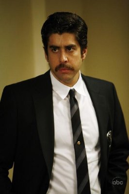 Adam Goldberg photo