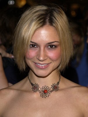 Samaire Armstrong photo
