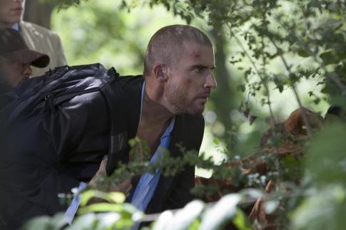 Dominic Purcell photo