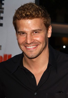 David Boreanaz photo