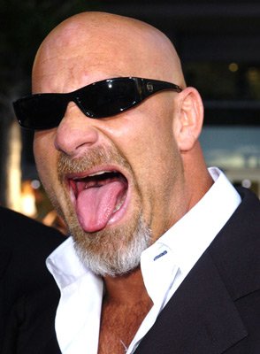Bill Goldberg photo