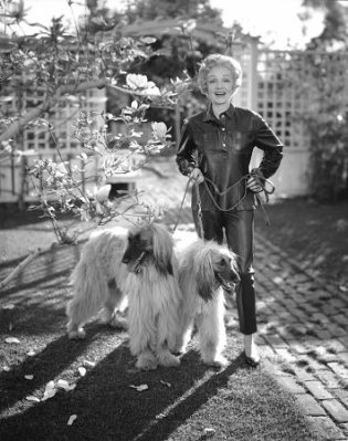 Marlene Dietrich photo