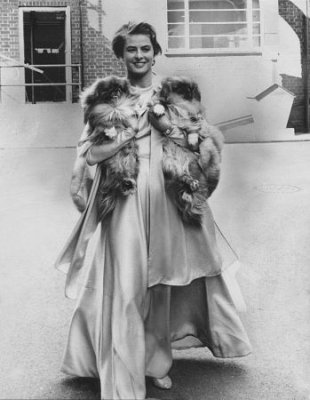 Ingrid Bergman photo