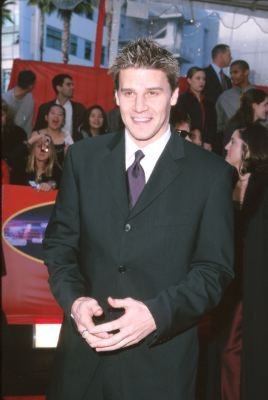 David Boreanaz photo