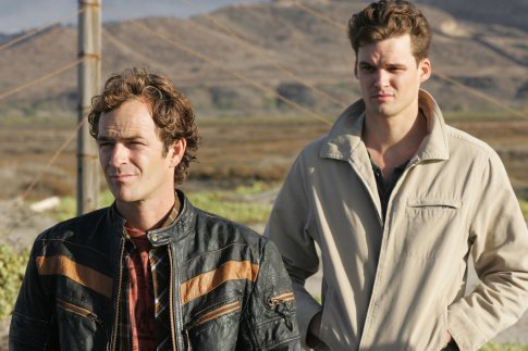 Austin Nichols photo