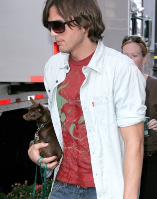 Ashton Kutcher photo
