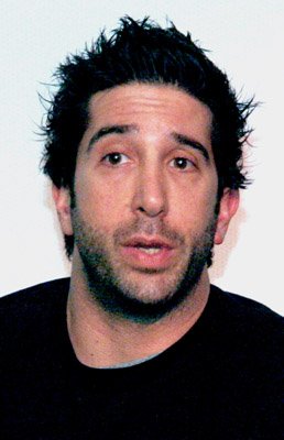 David Schwimmer photo