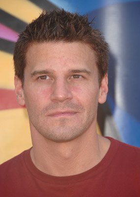 David Boreanaz photo