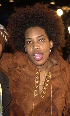 Macy Gray photo