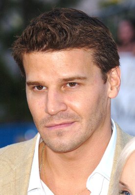 David Boreanaz photo